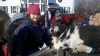 My dear sweet daughter Gabriella feeding one of the goats. Baaah!